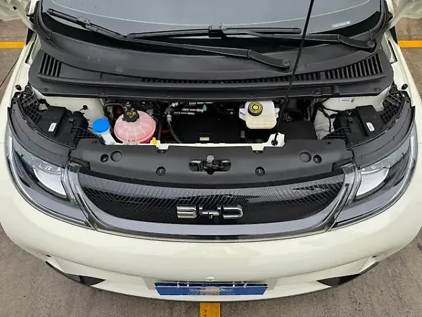 BYD Dolphin - Imagem 18