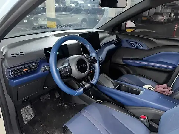 BYD Dolphin Mini - Imagem 13