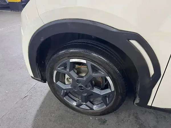 BYD Dolphin Mini - Imagem 16