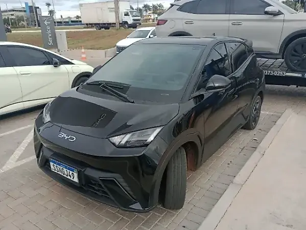 BYD Dolphin Mini - Imagem 1