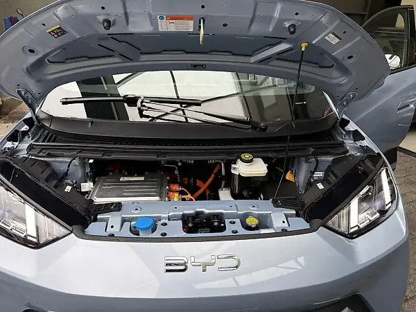 BYD Dolphin Mini - Imagem 9