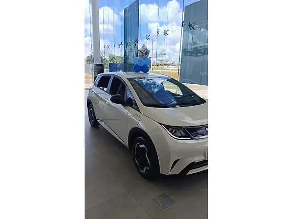 BYD Dolphin - Imagem 2