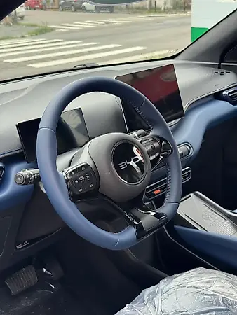 BYD Dolphin Mini - Imagem 16