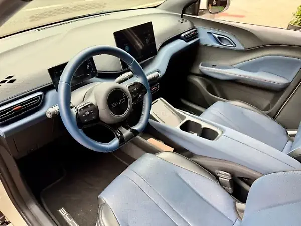 BYD Dolphin Mini - Imagem 12