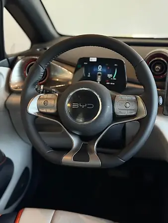 BYD Dolphin - Imagem 8