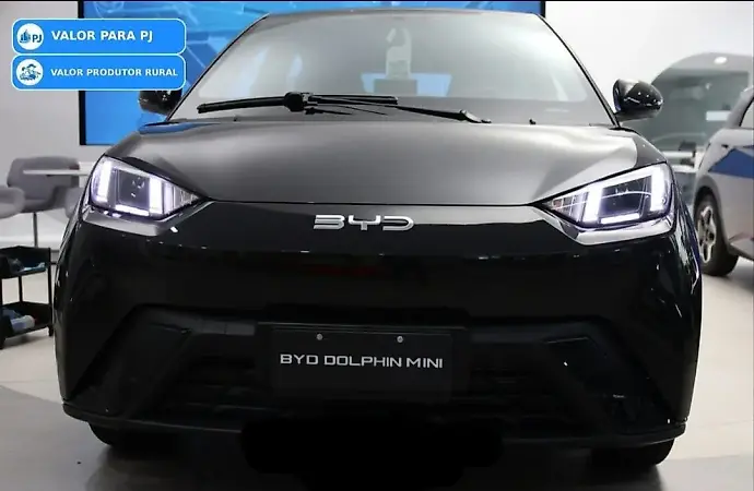 BYD Dolphin Mini - Imagem 9