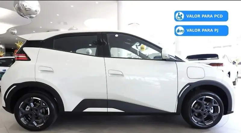 BYD Dolphin Mini - Imagem 13