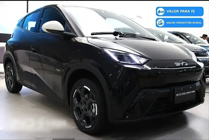 BYD Dolphin Mini - Imagem 20