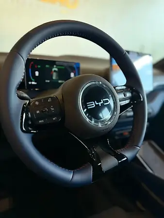 BYD Dolphin Mini - Imagem 8