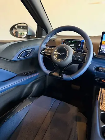 BYD Dolphin Mini - Imagem 10