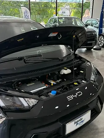 BYD Dolphin Mini - Imagem 6