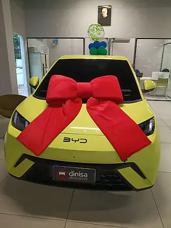 BYD Dolphin Mini - Imagem 1