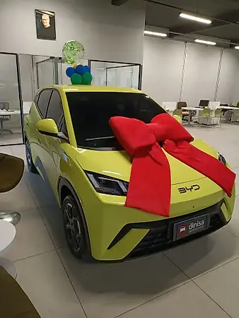 BYD Dolphin Mini - Imagem 2