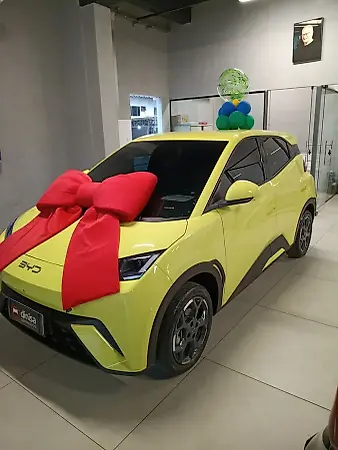 BYD Dolphin Mini - Imagem 3