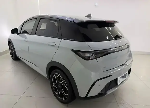 BYD Dolphin Plus - Imagem 12