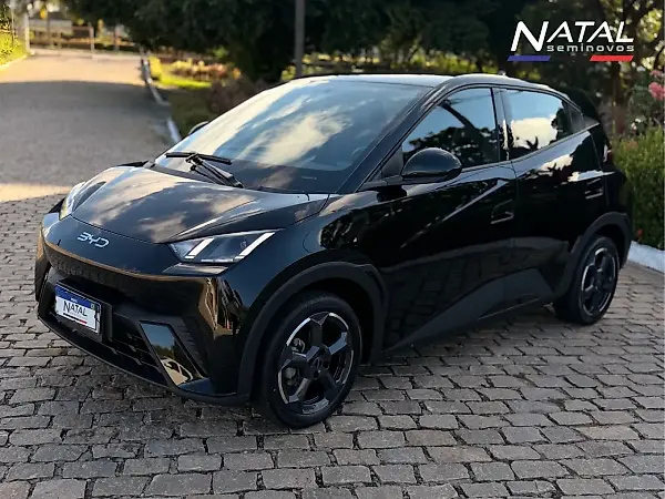 BYD Dolphin Mini - Imagem 2