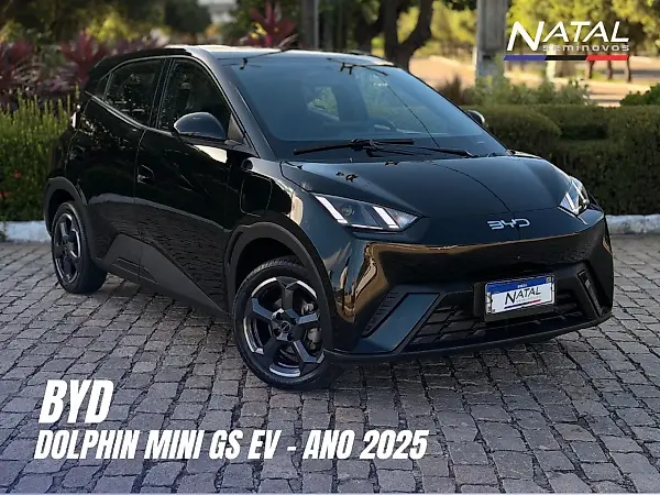 BYD Dolphin Mini - Imagem 1
