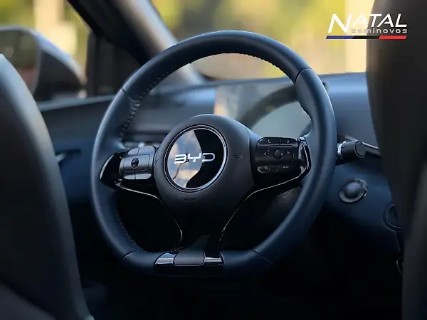 BYD Dolphin Mini - Imagem 12