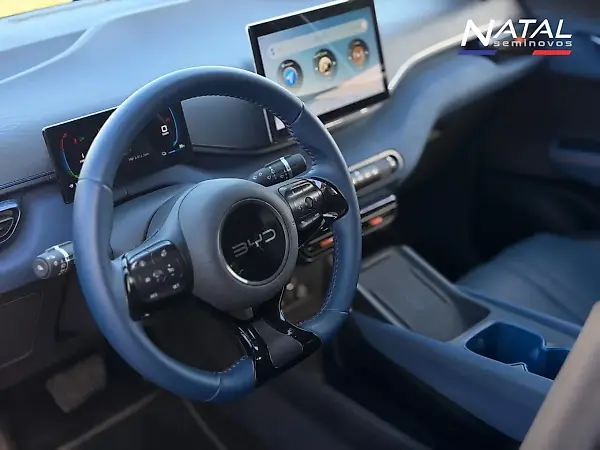 BYD Dolphin Mini - Imagem 14