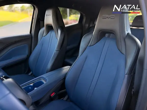BYD Dolphin Mini - Imagem 18