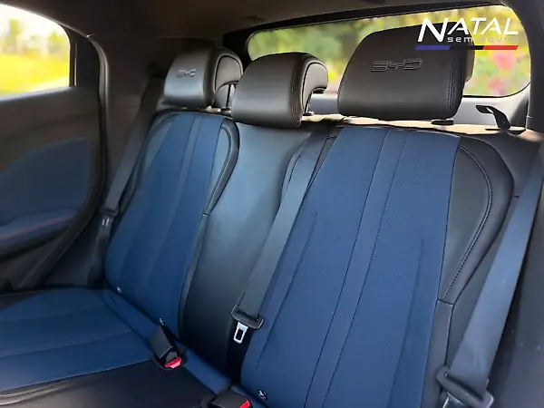 BYD Dolphin Mini - Imagem 19