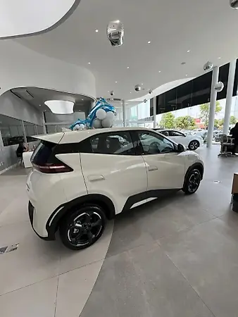 BYD Dolphin Mini - Imagem 2