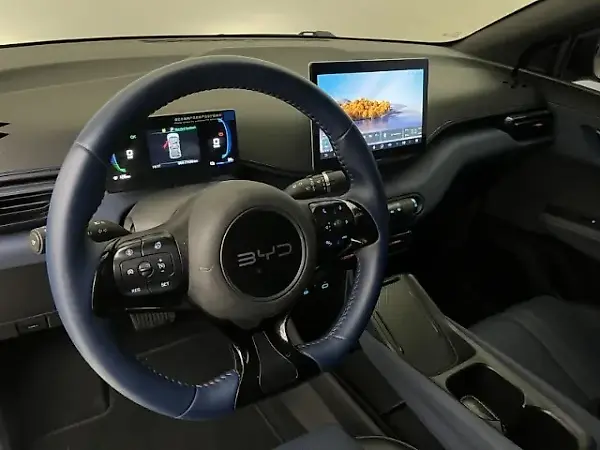 BYD Dolphin Mini - Imagem 11