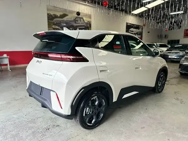 BYD Dolphin Mini - Imagem 6