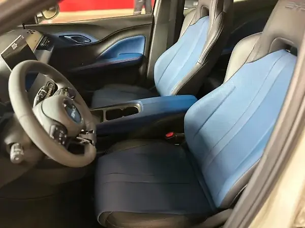 BYD Dolphin Mini - Imagem 11
