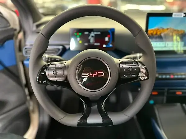 BYD Dolphin Mini - Imagem 18