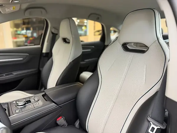 BYD King - Imagem 6