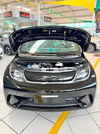 BYD Dolphin - Imagem 2