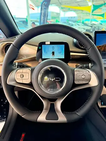 BYD Dolphin - Imagem 9