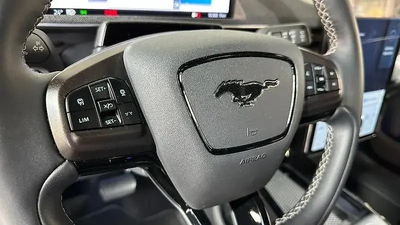 Ford Mustang Mach-e - Imagem 16