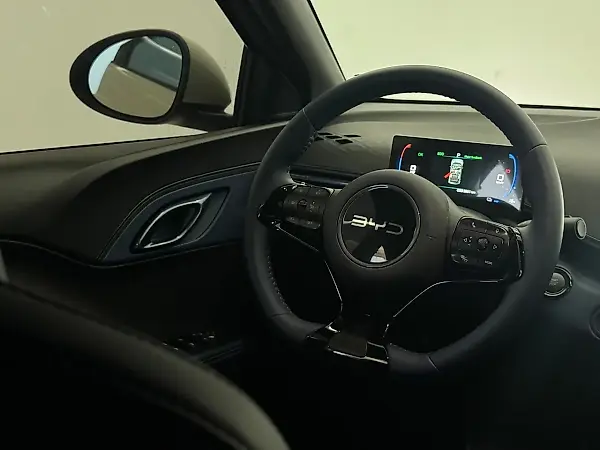 BYD Dolphin Mini - Imagem 13