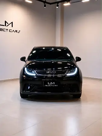 BYD Dolphin - Imagem 2
