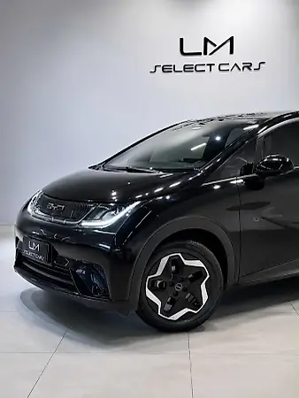 BYD Dolphin - Imagem 17