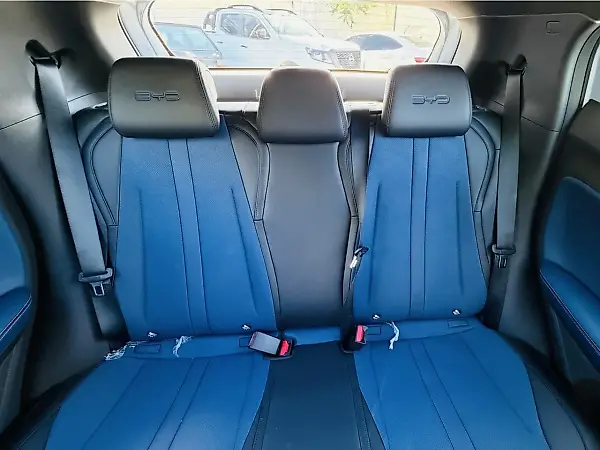 BYD Dolphin Mini - Imagem 11