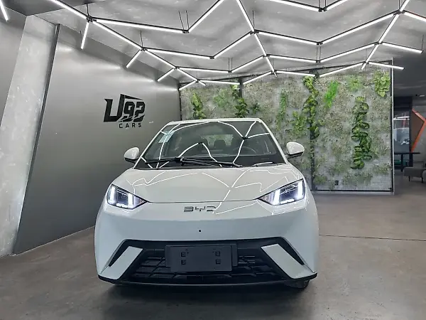 BYD Dolphin Mini - Imagem 10