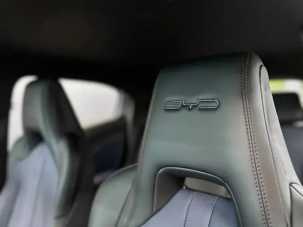 BYD Dolphin Mini - Imagem 15