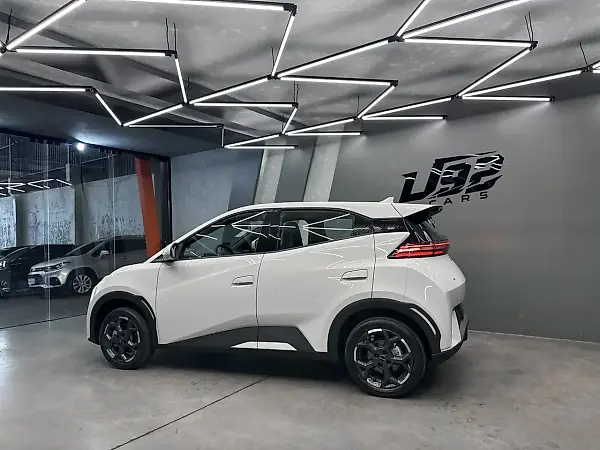 BYD Dolphin Mini - Imagem 20