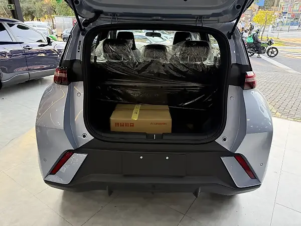 BYD Dolphin Mini - Imagem 18
