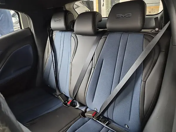 BYD Dolphin Mini - Imagem 6