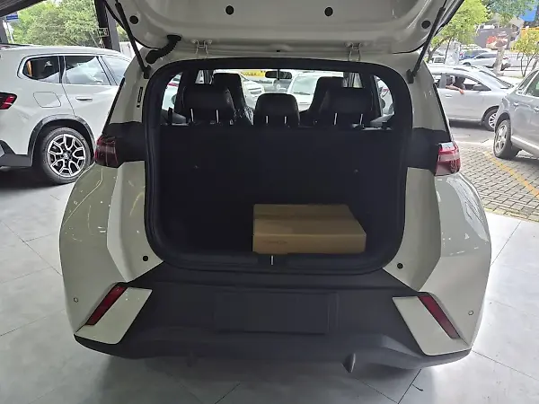 BYD Dolphin Mini - Imagem 13