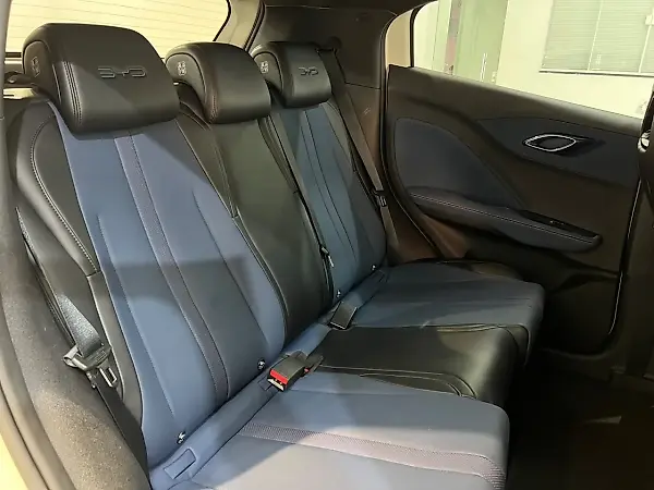 BYD Dolphin Mini - Imagem 13