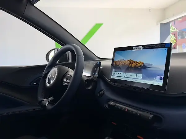 BYD Dolphin Mini - Imagem 18