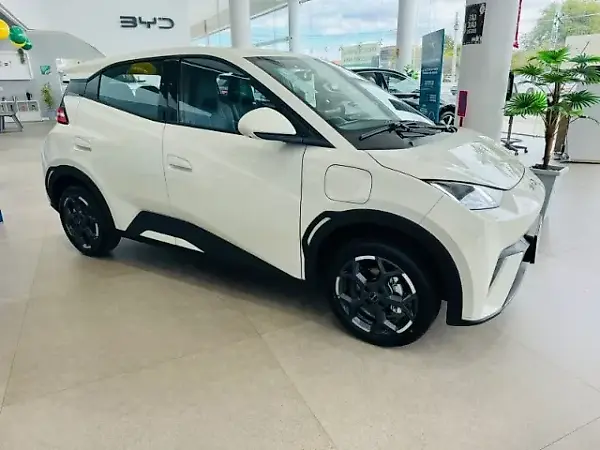 BYD Dolphin Mini - Imagem 2