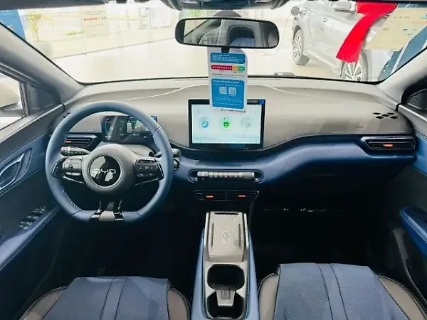 BYD Dolphin Mini - Imagem 10