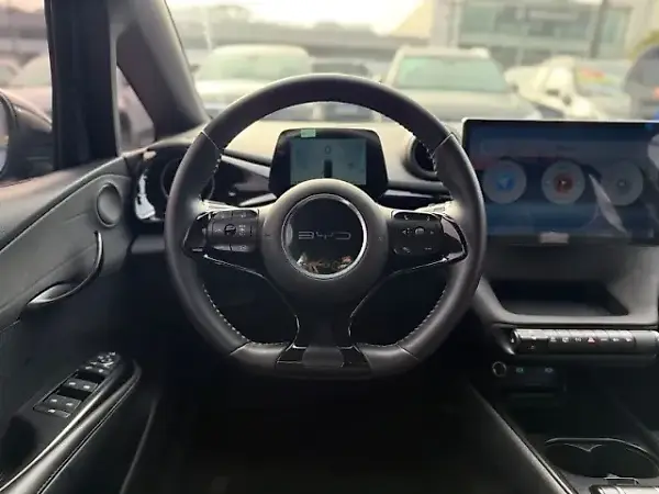 BYD Dolphin Plus - Imagem 13
