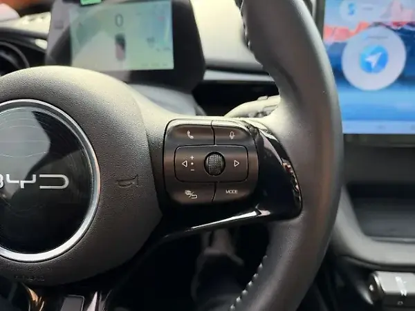 BYD Dolphin Plus - Imagem 15